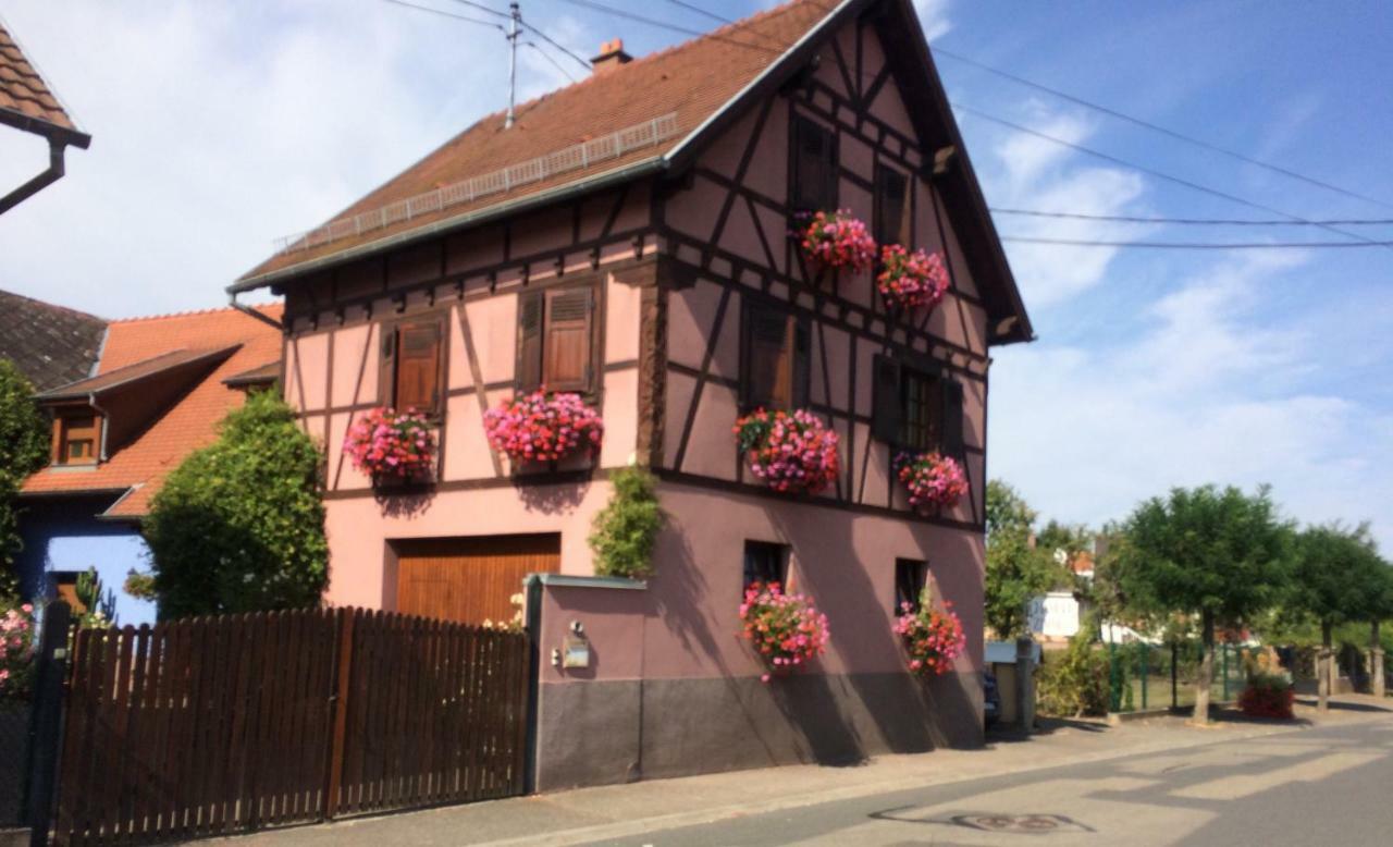 Gite Du Rittersberg Scherwiller Esterno foto