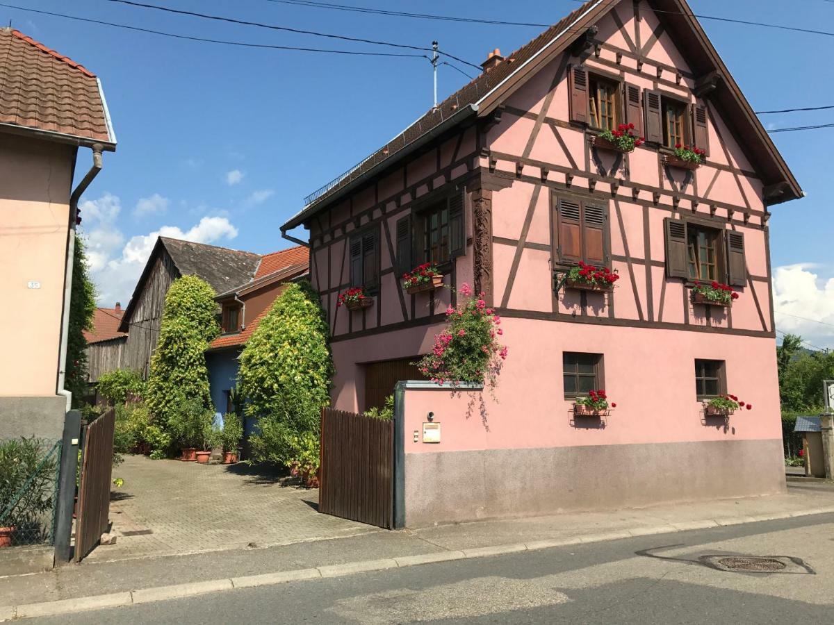Gite Du Rittersberg Scherwiller Esterno foto