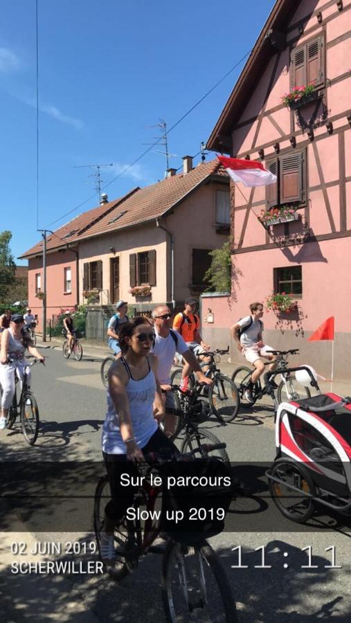 Gite Du Rittersberg Scherwiller Esterno foto